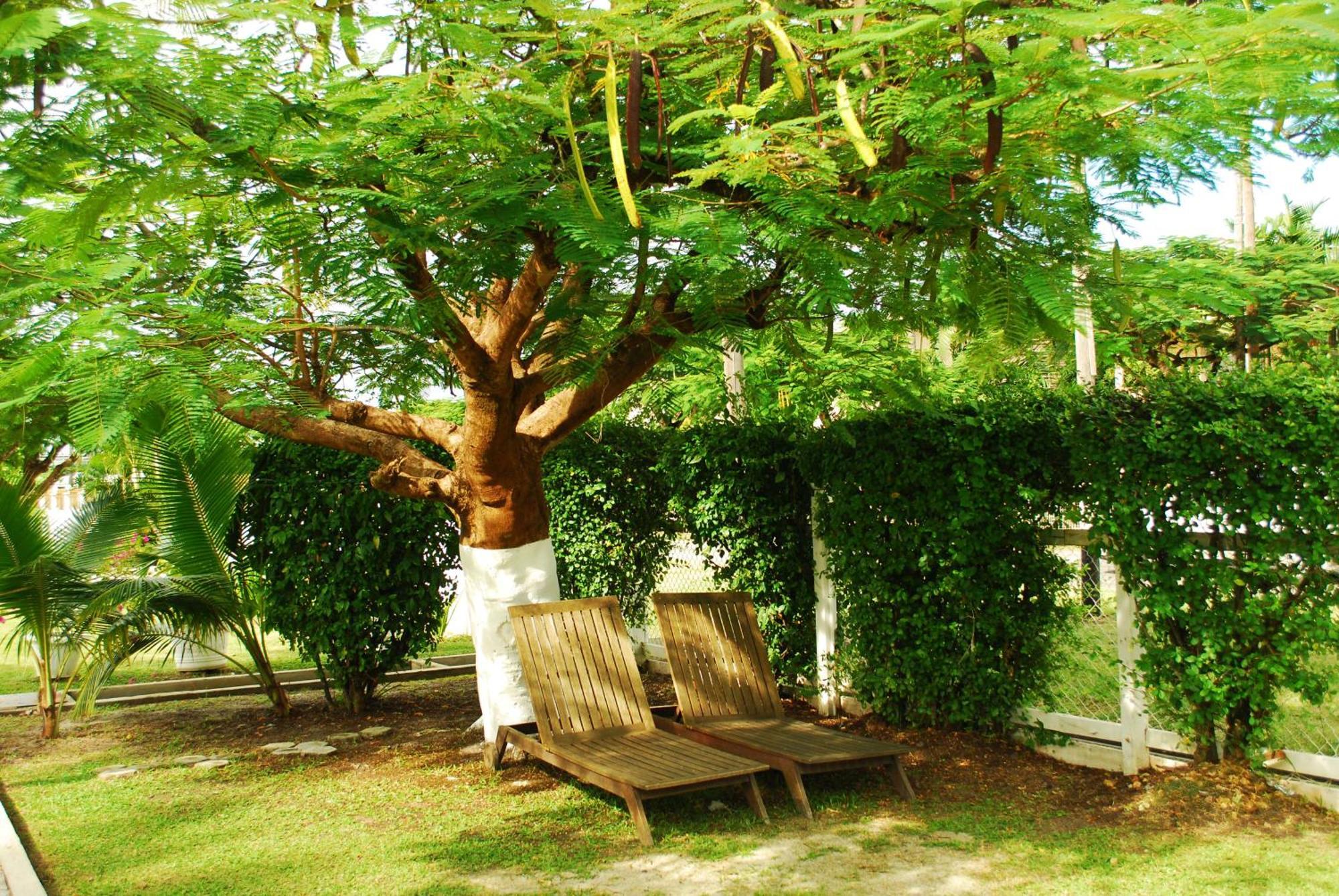Herdmanston Lodge Hotel Georgetown Bagian luar foto